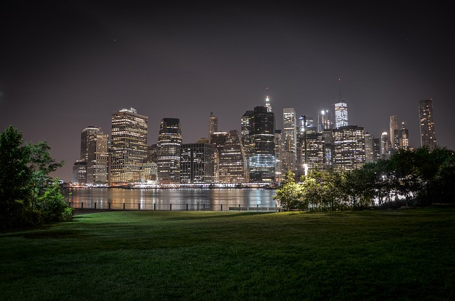 brooklyn bridge park vue manhattan