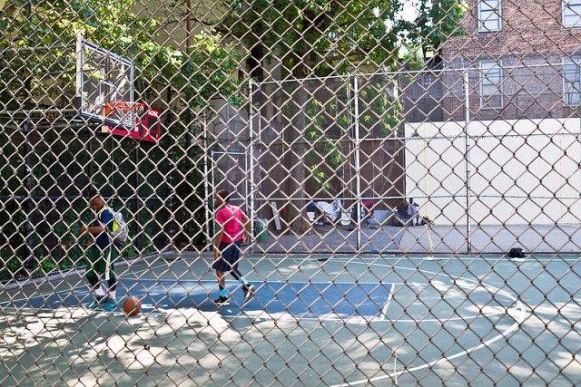 terrain street basket new york