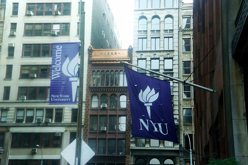 université de new york