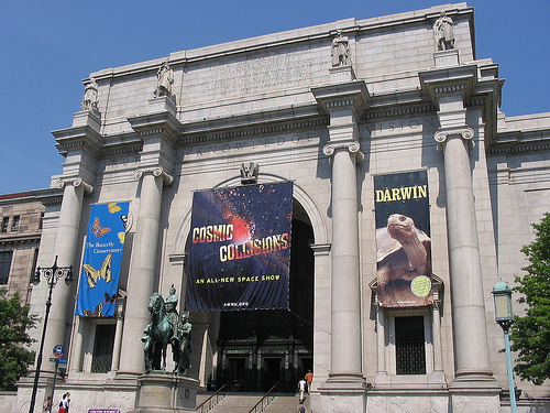 musee d'histoire naturelle new york